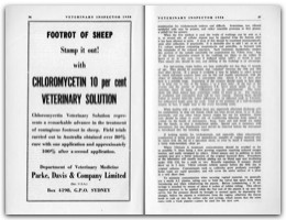1958 Page 56 57